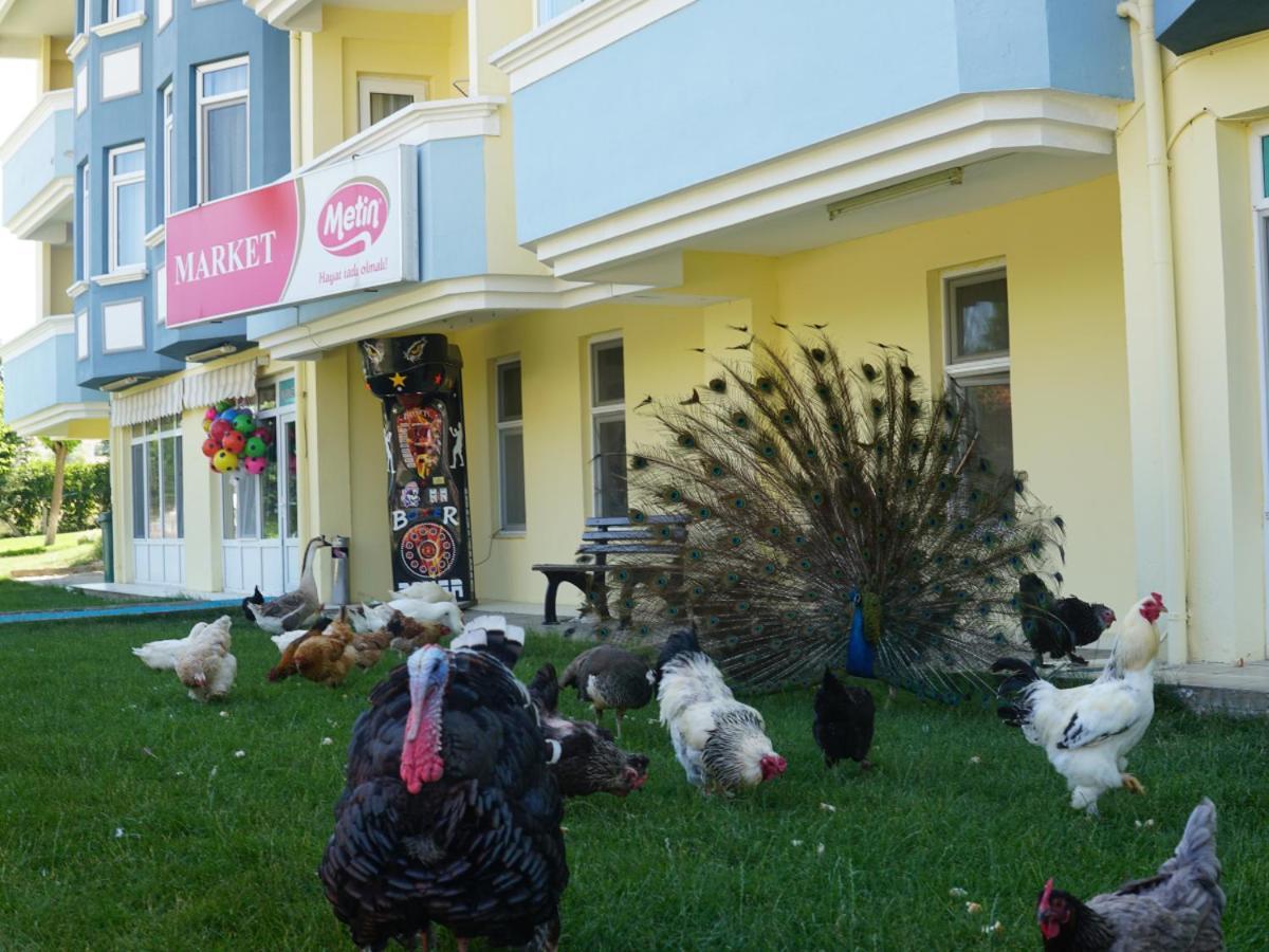 Basaranlar Thermal Otel Gazligol Экстерьер фото