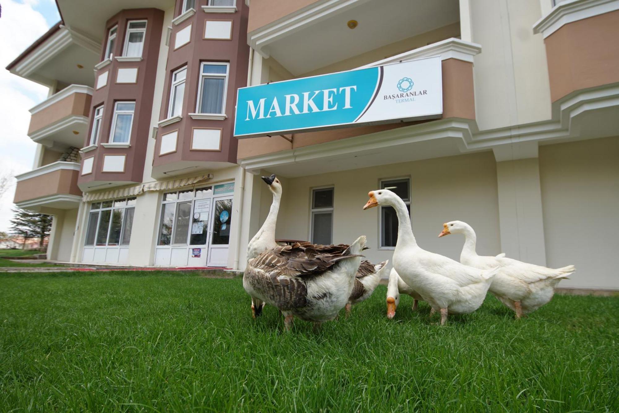 Basaranlar Thermal Otel Gazligol Экстерьер фото